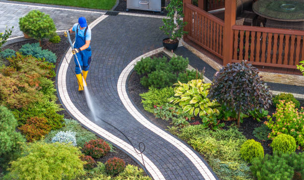 Best Power Washing Near Me  in Wilmer, TX